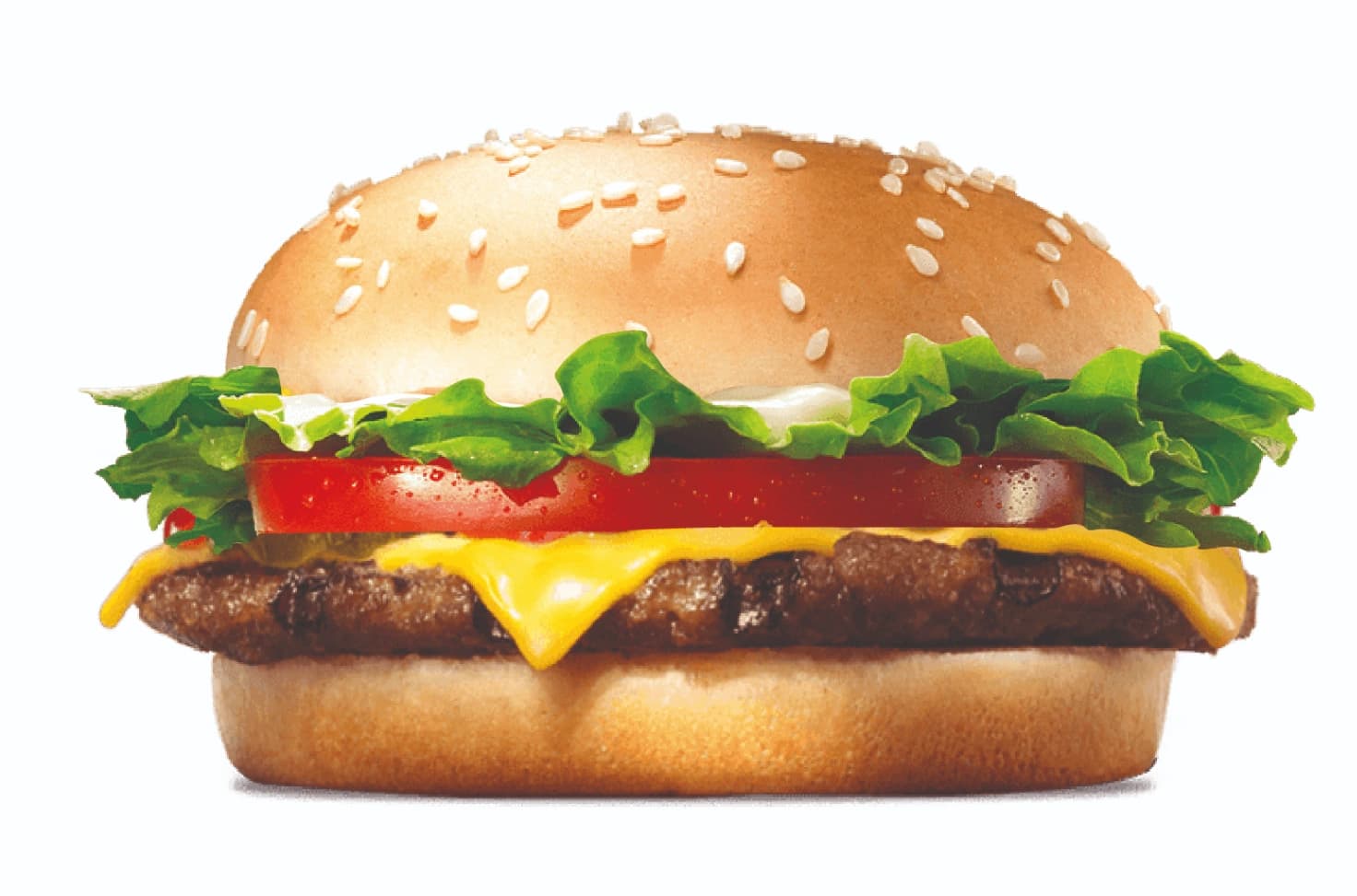 Cheese Burger